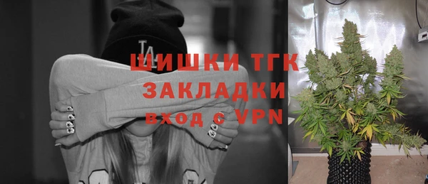 тгк Алексин