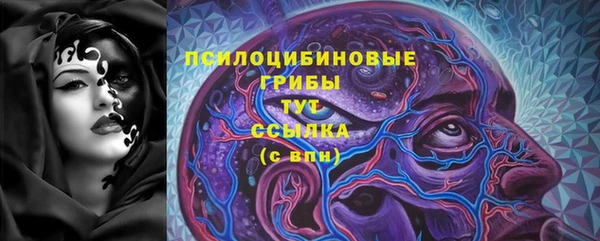 тгк Алексин