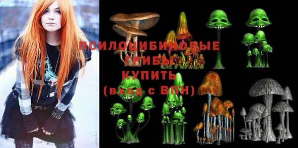 спиды Алексеевка