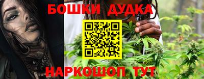 крисы Будённовск